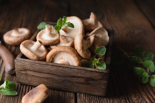 Beta-Glucans are Potential Benefits for Mesothelioma Patients